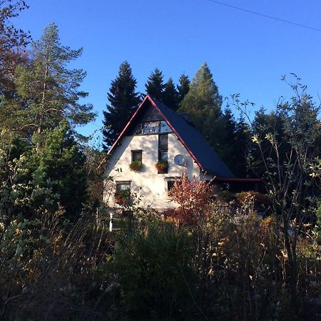 Haus Am Gruendel Daire Altenberg  Dış mekan fotoğraf