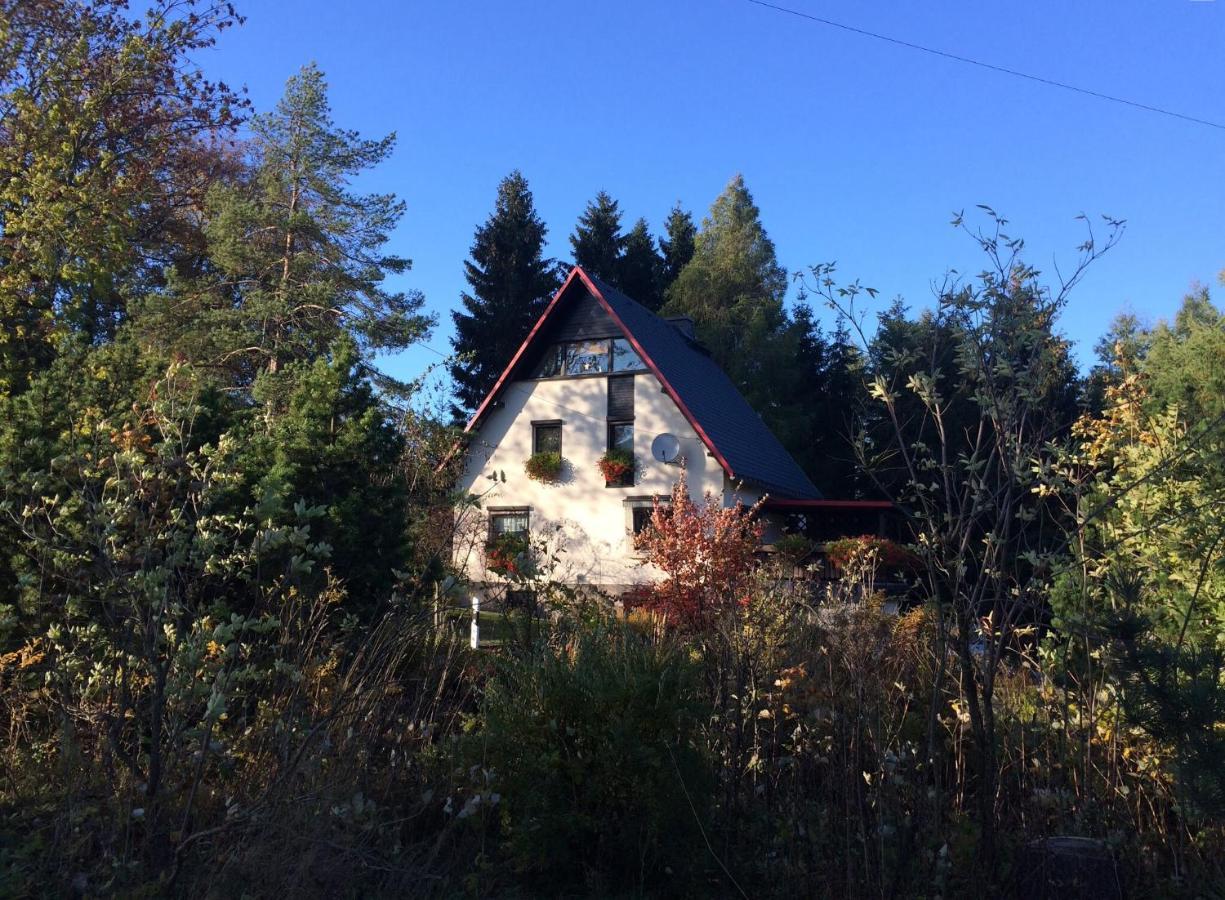 Haus Am Gruendel Daire Altenberg  Dış mekan fotoğraf