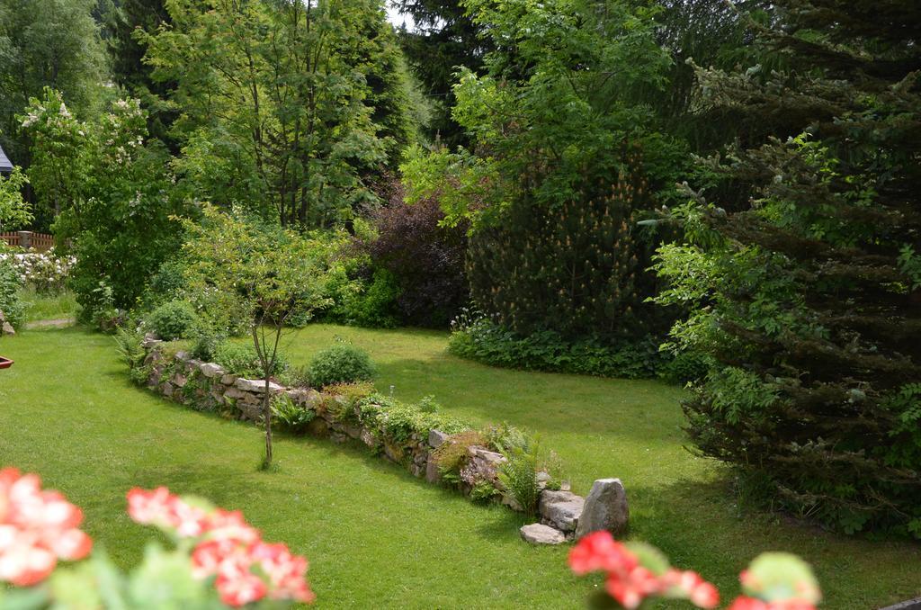 Haus Am Gruendel Daire Altenberg  Dış mekan fotoğraf